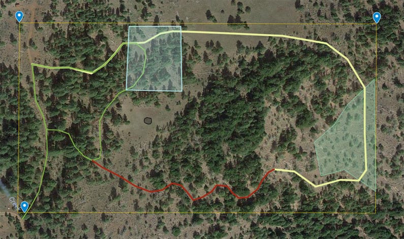 Forest Management Plan Aerial