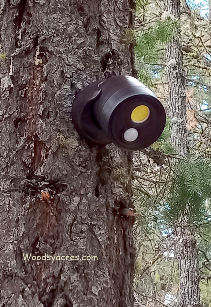 battery powered security light