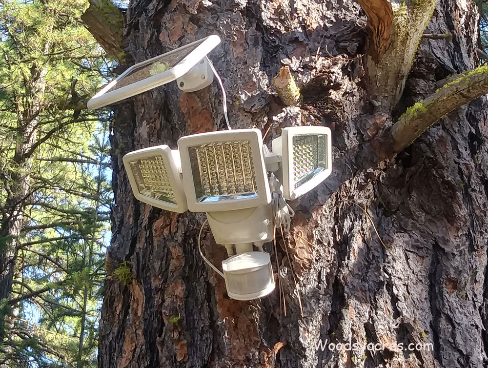 Solar security light